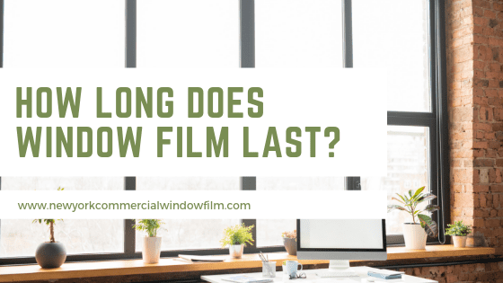 how long does window film last